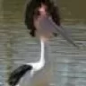 Die_LaMattres